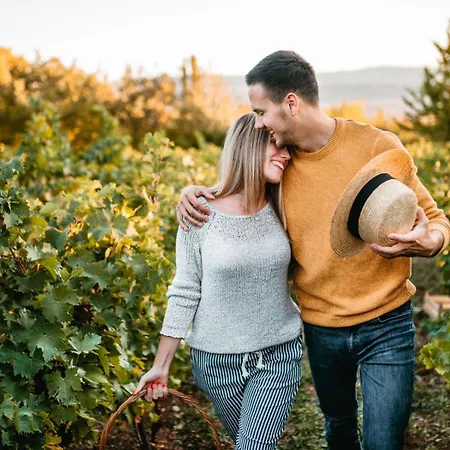 Les Anges De La Vigne Par Lisca Begay Biron