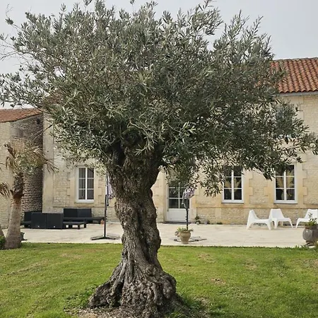 Les Anges De La Vigne Par Lisca Begay Couette-café Biron